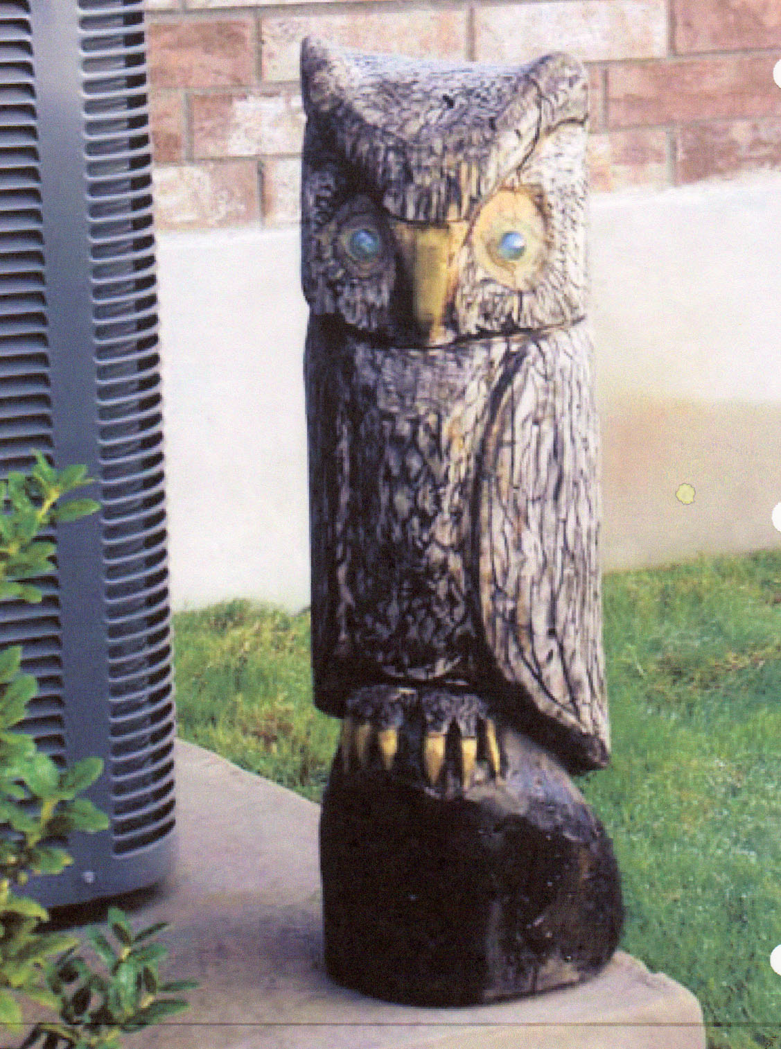 Owl