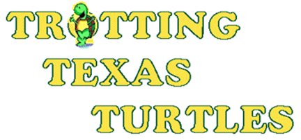 Trotting Texas Turtles